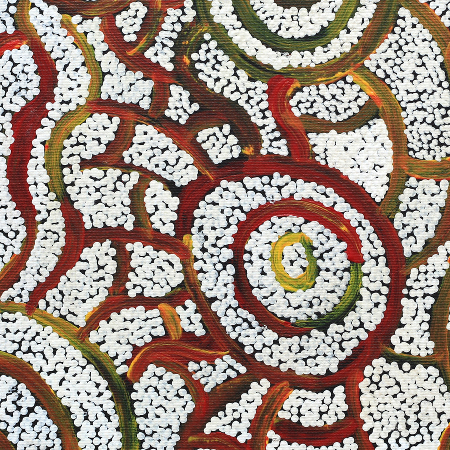 Aboriginal Artwork by Glen Jampijinpa Martin, Janganpa Jukurrpa (Brush-tail Possum Dreaming) - Mawurrji, 30x30cm
