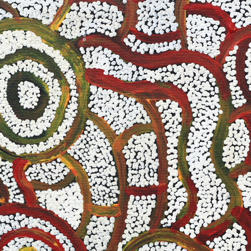 Aboriginal Artwork by Glen Jampijinpa Martin, Janganpa Jukurrpa (Brush-tail Possum Dreaming) - Mawurrji, 30x30cm