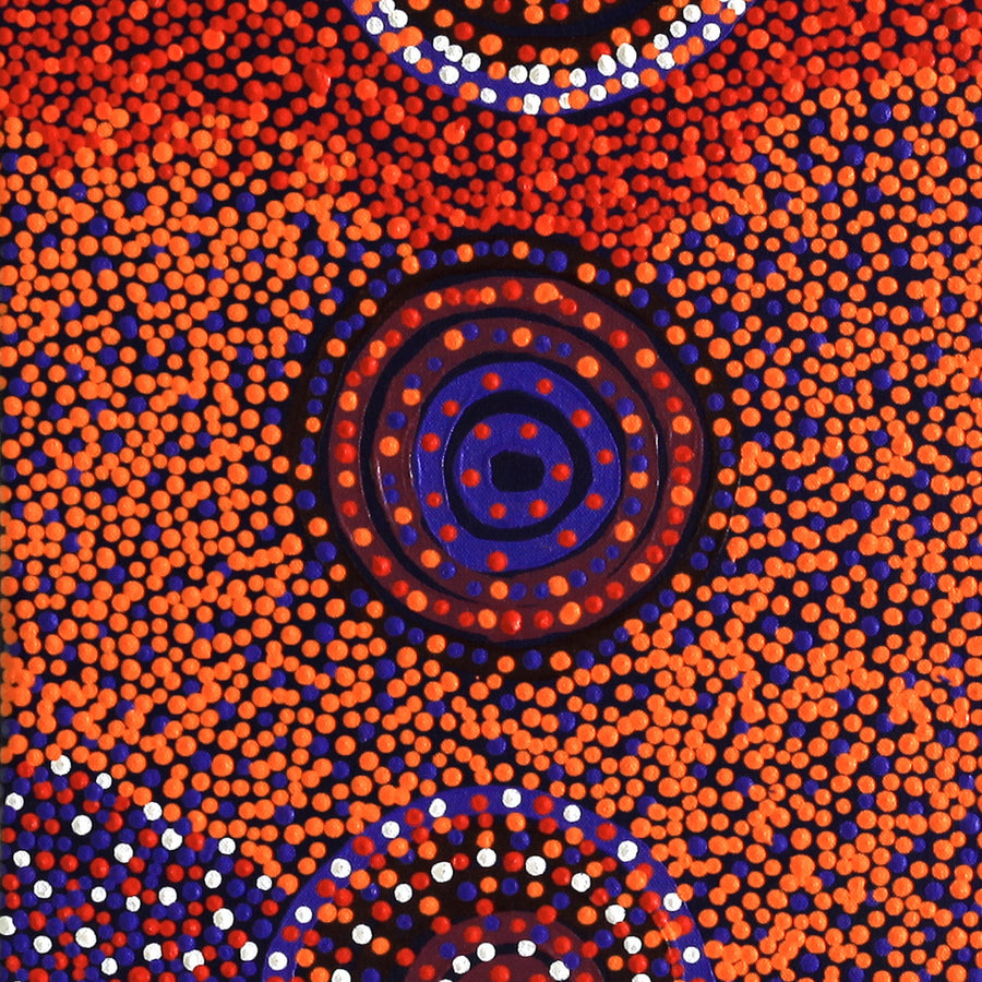 Aboriginal Artwork by Glenda Napanangka Martin, Ngapa Jukurrpa (Water Dreaming) - Puyurru, 61x30cm