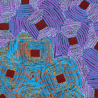 Aboriginal Artwork by Gloria Napangardi Gill, Lukarrara Jukurrpa, 152x76cm