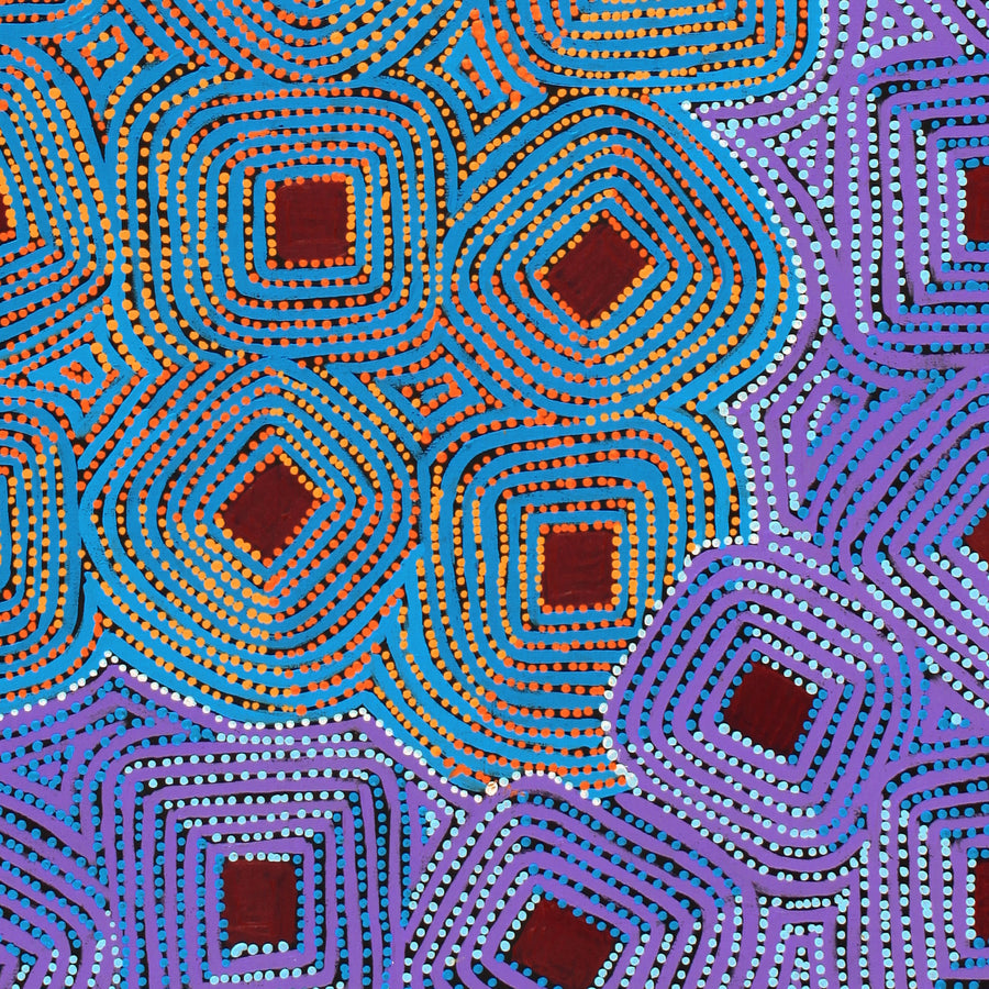 Aboriginal Artwork by Gloria Napangardi Gill, Lukarrara Jukurrpa, 152x76cm