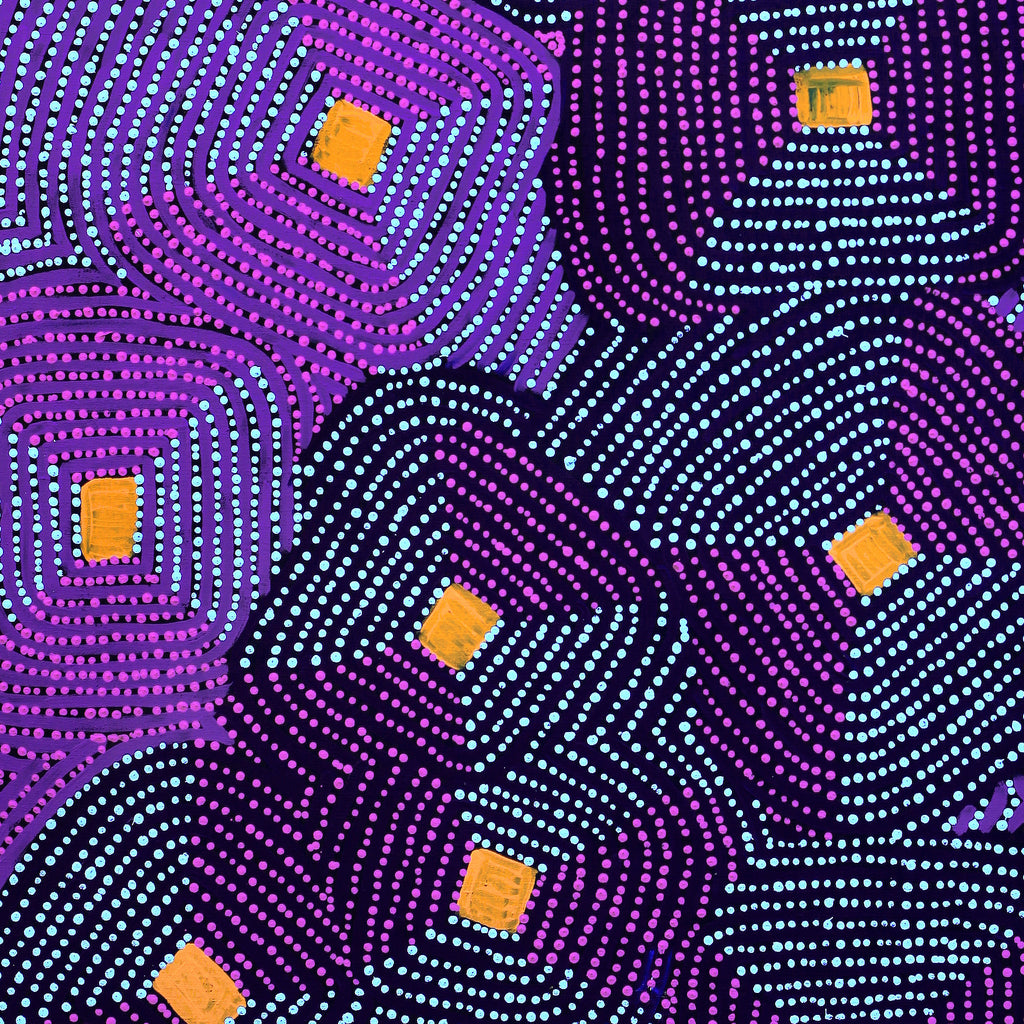 Aboriginal Artwork by Gloria Napangardi Gill, Lukarrara Jukurrpa, 107x91cm