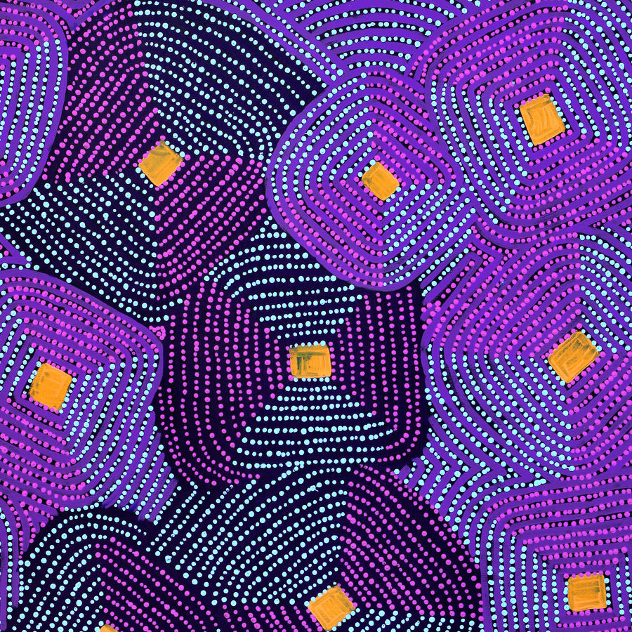 Aboriginal Artwork by Gloria Napangardi Gill, Lukarrara Jukurrpa, 107x91cm