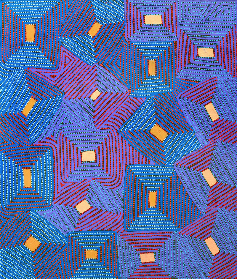 Aboriginal Artwork by Gloria Napangardi Gill, Lukarrara Jukurrpa, 107x91cm