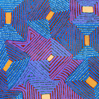 Aboriginal Artwork by Gloria Napangardi Gill, Lukarrara Jukurrpa, 107x91cm