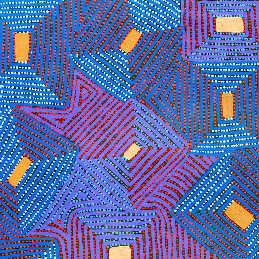 Aboriginal Artwork by Gloria Napangardi Gill, Lukarrara Jukurrpa, 107x91cm