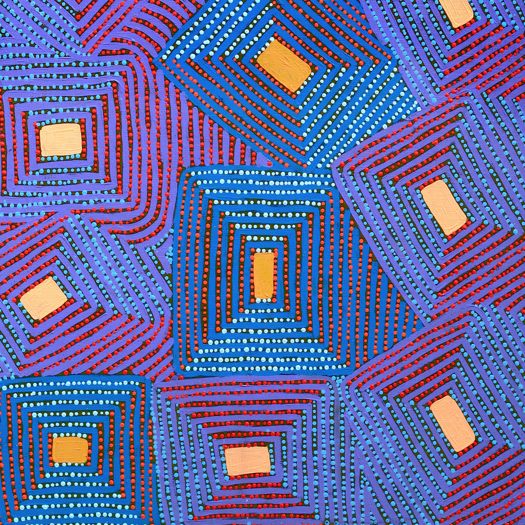 Aboriginal Artwork by Gloria Napangardi Gill, Lukarrara Jukurrpa, 107x91cm