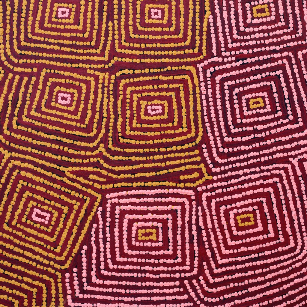 Aboriginal Artwork by Gloria Napangardi Gill, Lukarrara Jukurrpa, 61x46cm