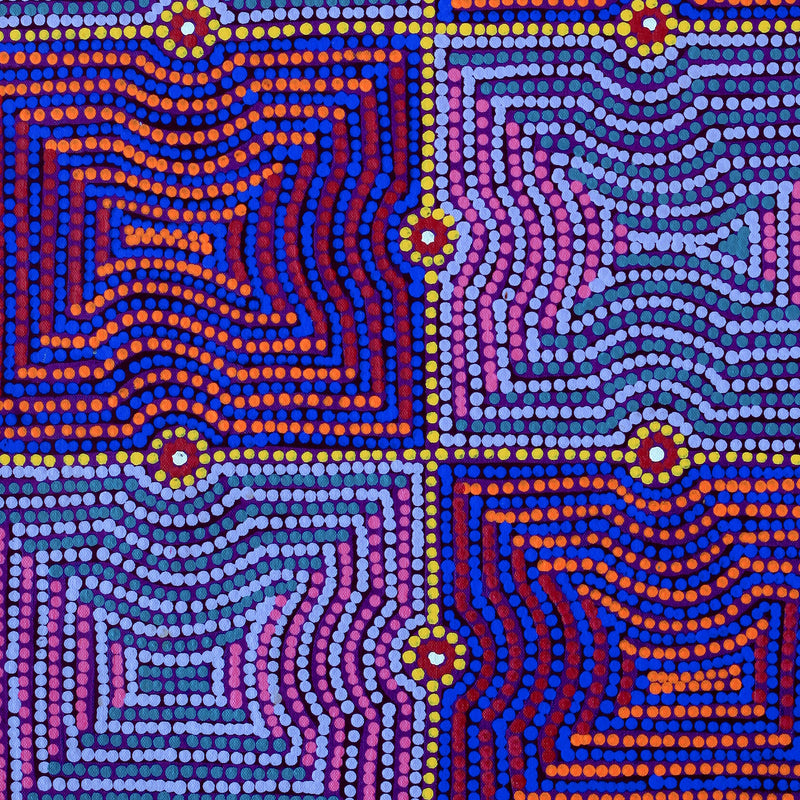 Aboriginal Art by Gloria Napangardi Gill, Lukarrara Jukurrpa, 61x46cm - ART ARK®