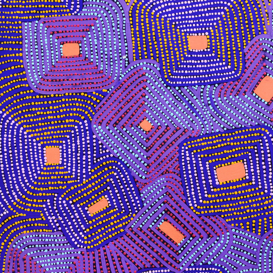 Aboriginal Artwork by Gloria Napangardi Gill, Lukarrara Jukurrpa, 91x91cm