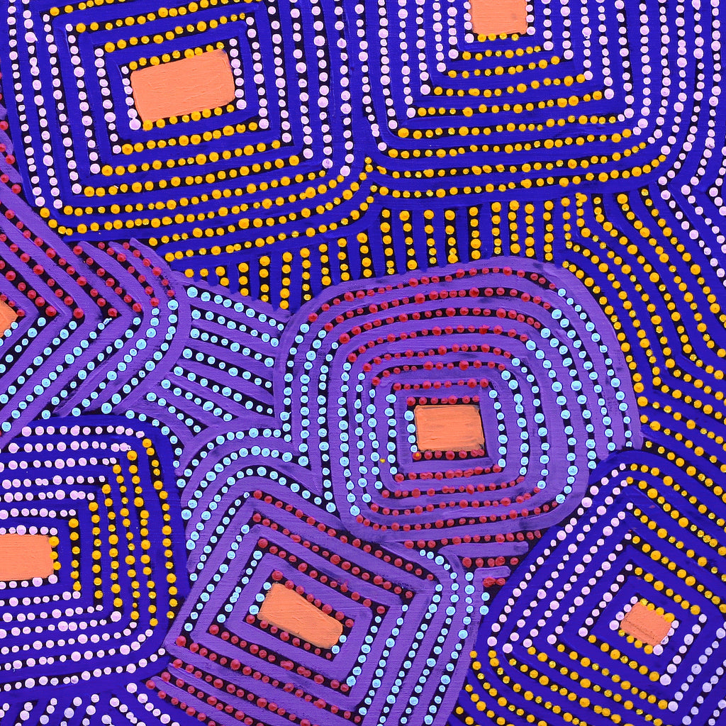 Aboriginal Artwork by Gloria Napangardi Gill, Lukarrara Jukurrpa, 91x91cm
