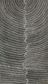 Aboriginal Artwork by Grace Napangardi Butcher, Pikilyi Jukurrpa (Vaughan Springs Dreaming), 107x61cm