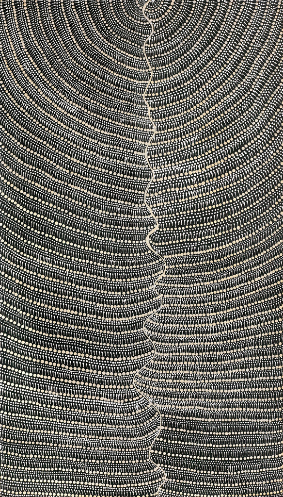 Aboriginal Artwork by Grace Napangardi Butcher, Pikilyi Jukurrpa (Vaughan Springs Dreaming), 107x61cm