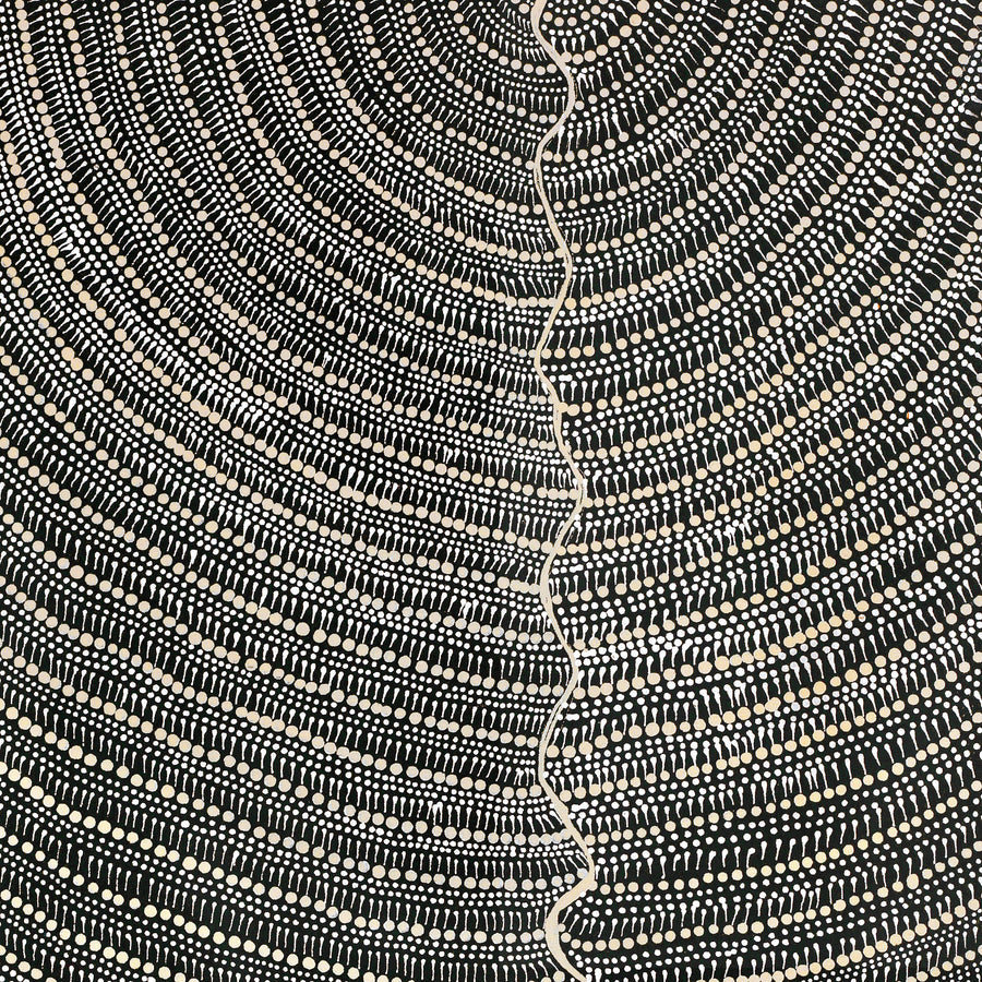 Aboriginal Artwork by Grace Napangardi Butcher, Pikilyi Jukurrpa (Vaughan Springs Dreaming), 107x61cm