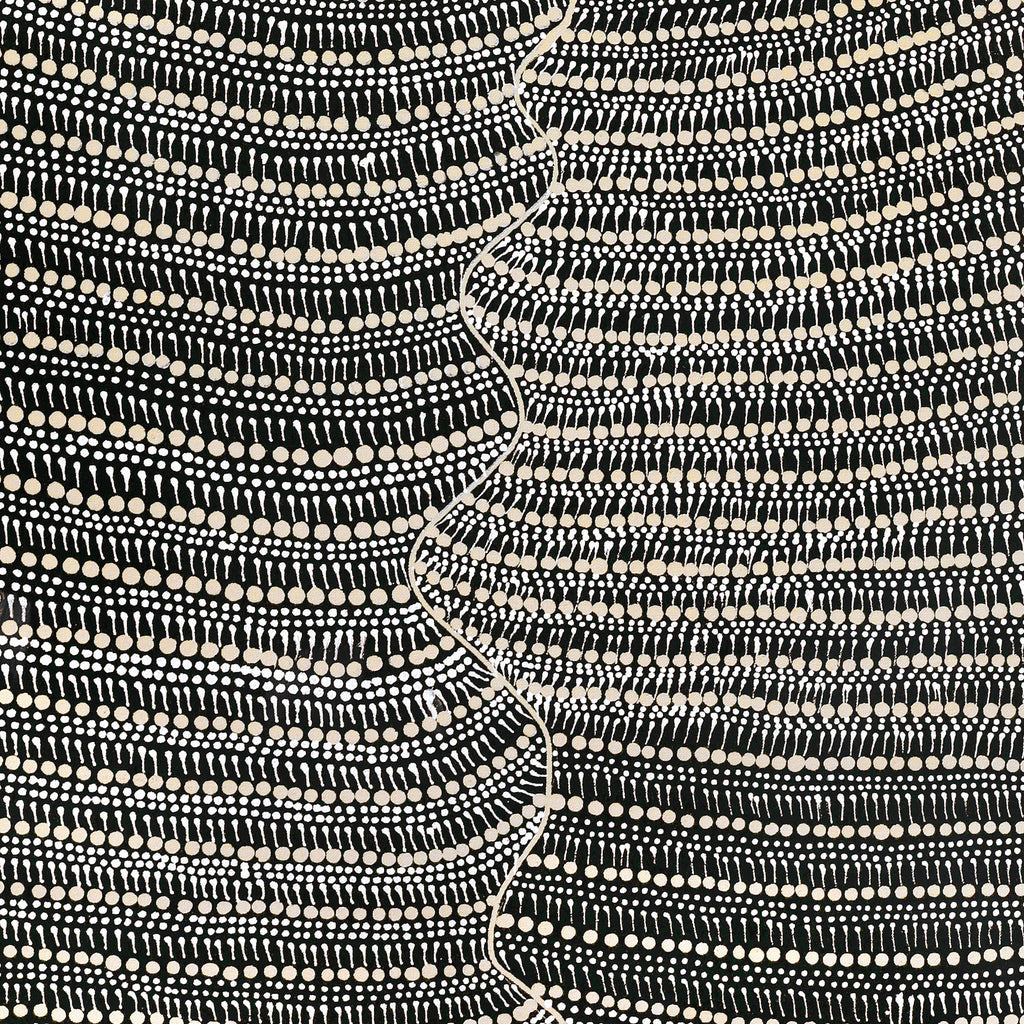 Aboriginal Artwork by Grace Napangardi Butcher, Pikilyi Jukurrpa (Vaughan Springs Dreaming), 107x61cm