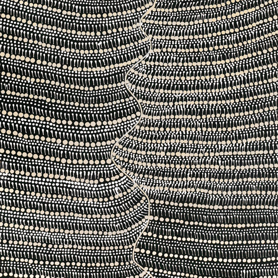 Aboriginal Artwork by Grace Napangardi Butcher, Pikilyi Jukurrpa (Vaughan Springs Dreaming), 107x61cm