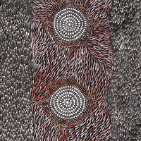 Aboriginal Artwork by Grace Napangardi Butcher, Pikilyi Jukurrpa (Vaughan Springs Dreaming), 122x61cm