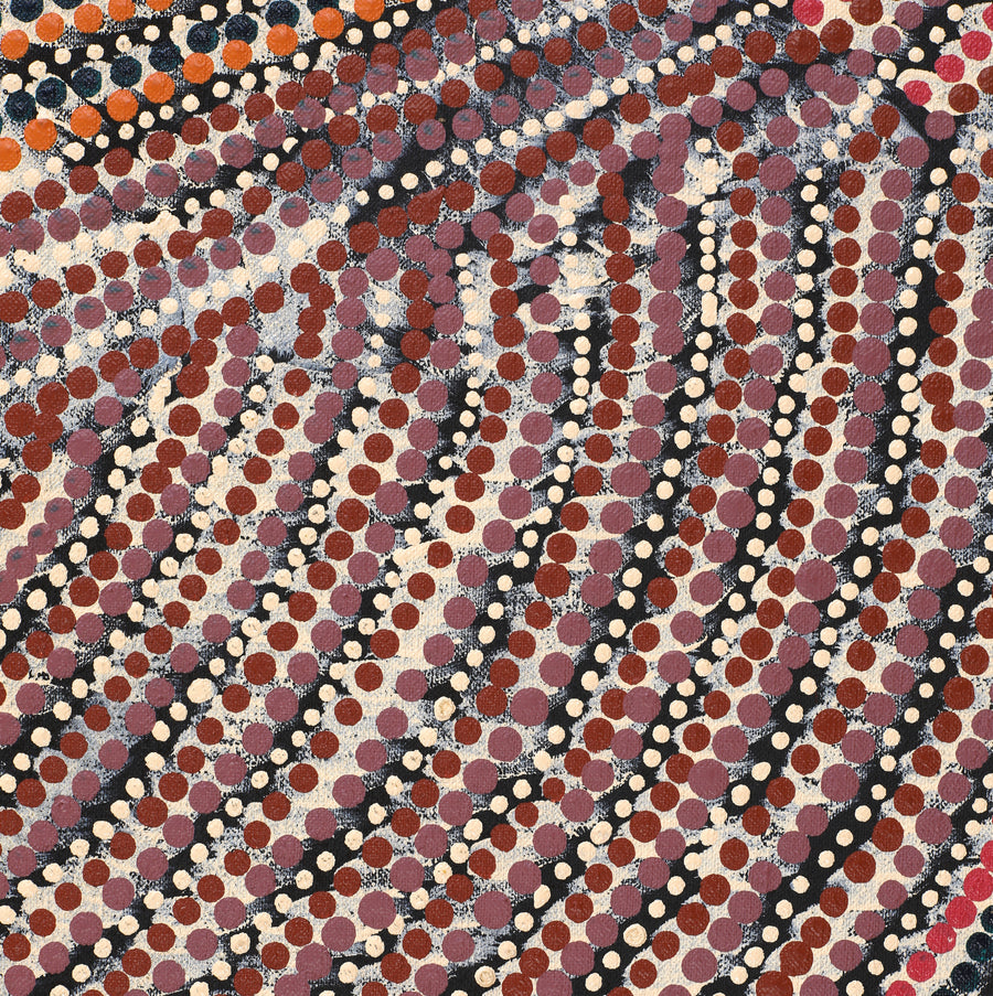 Aboriginal Artwork by Grace Napangardi Butcher, Pikilyi Jukurrpa (Vaughan Springs Dreaming), 122x61cm