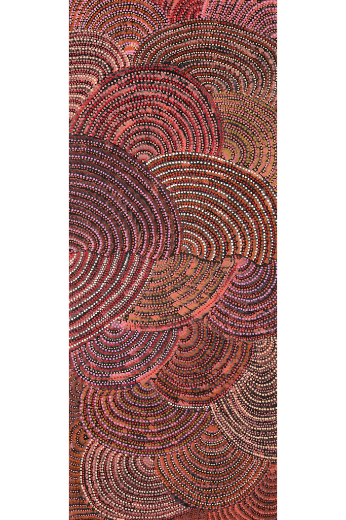 Aboriginal Artwork by Grace Napangardi Butcher, Pikilyi Jukurrpa (Vaughan Springs Dreaming), 152x61cm