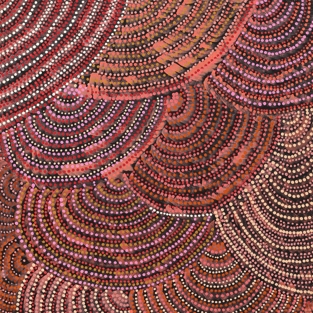 Aboriginal Artwork by Grace Napangardi Butcher, Pikilyi Jukurrpa (Vaughan Springs Dreaming), 152x61cm