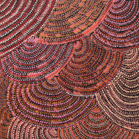 Aboriginal Artwork by Grace Napangardi Butcher, Pikilyi Jukurrpa (Vaughan Springs Dreaming), 152x61cm