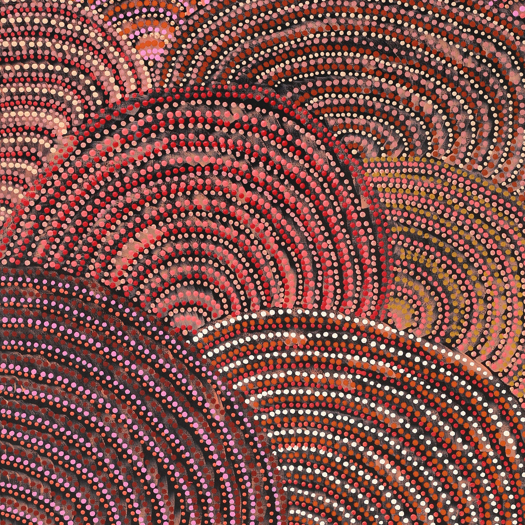 Aboriginal Artwork by Grace Napangardi Butcher, Pikilyi Jukurrpa (Vaughan Springs Dreaming), 152x61cm