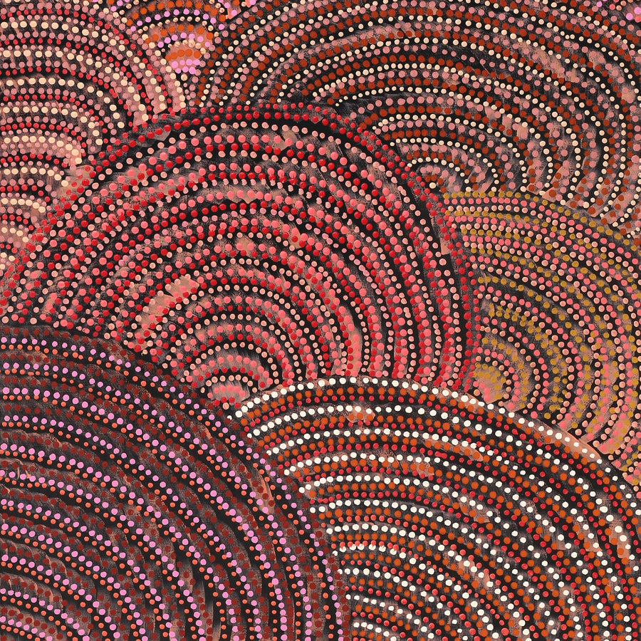Aboriginal Artwork by Grace Napangardi Butcher, Pikilyi Jukurrpa (Vaughan Springs Dreaming), 152x61cm