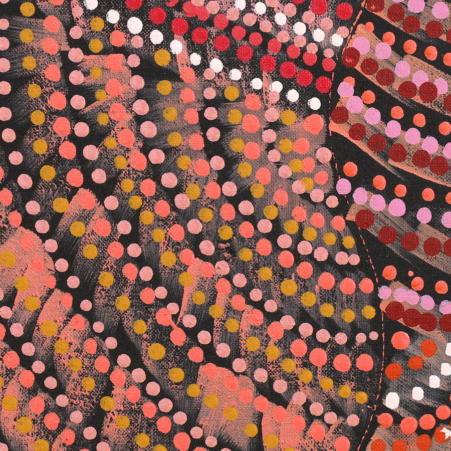 Aboriginal Artwork by Grace Napangardi Butcher, Pikilyi Jukurrpa (Vaughan Springs Dreaming), 152x61cm