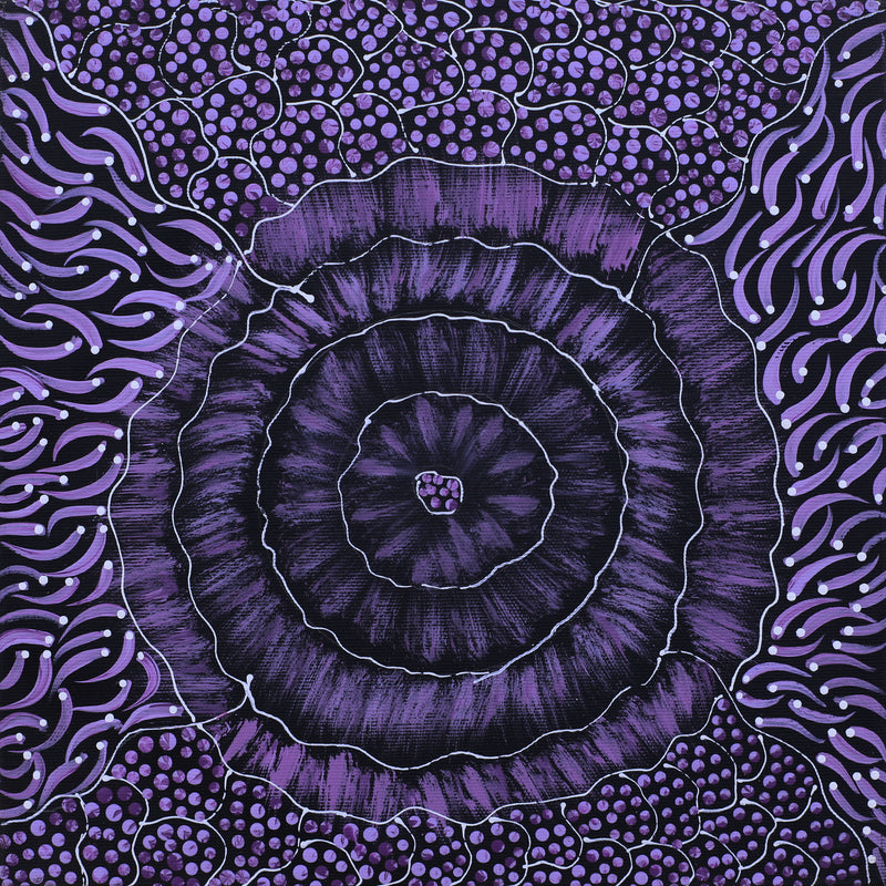 Aboriginal Artwork by Grace Napangardi Butcher, Pikilyi Jukurrpa (Vaughan Springs Dreaming), 30x30cm