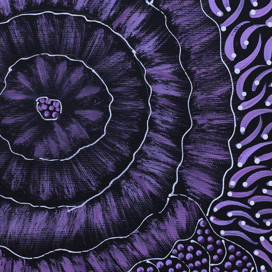 Aboriginal Artwork by Grace Napangardi Butcher, Pikilyi Jukurrpa (Vaughan Springs Dreaming), 30x30cm