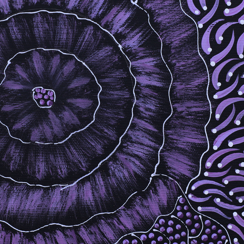 Aboriginal Artwork by Grace Napangardi Butcher, Pikilyi Jukurrpa (Vaughan Springs Dreaming), 30x30cm