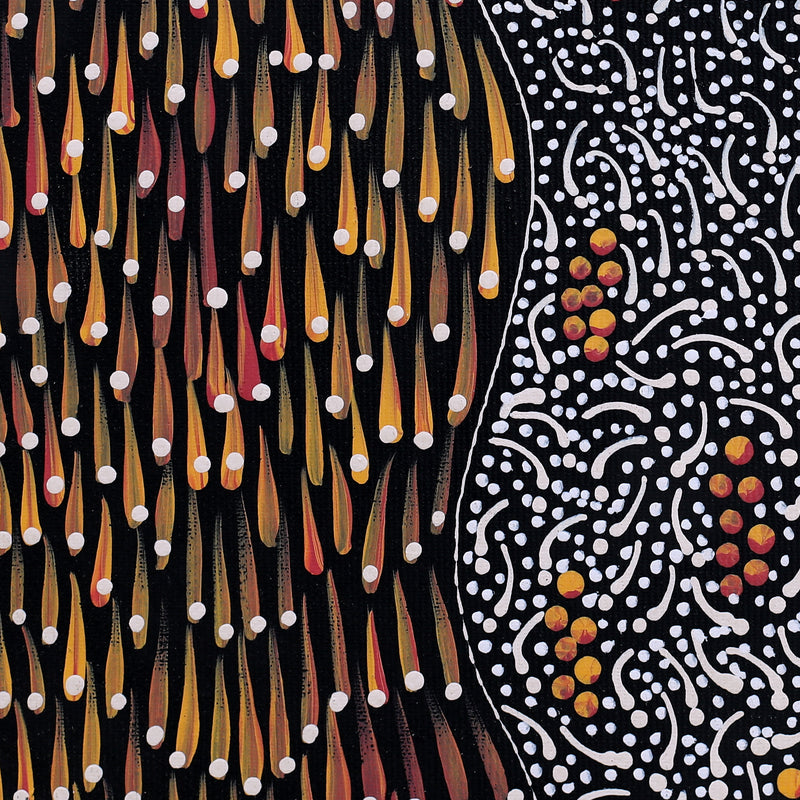 Aboriginal Artwork by Grace Napangardi Butcher, Pikilyi Jukurrpa (Vaughan Springs Dreaming), 30x30cm