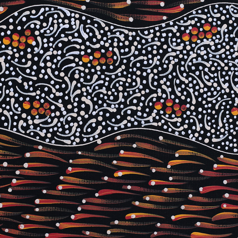 Aboriginal Artwork by Grace Napangardi Butcher, Pikilyi Jukurrpa (Vaughan Springs Dreaming), 30x30cm