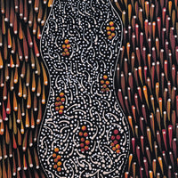 Aboriginal Artwork by Grace Napangardi Butcher, Pikilyi Jukurrpa (Vaughan Springs Dreaming), 30x30cm