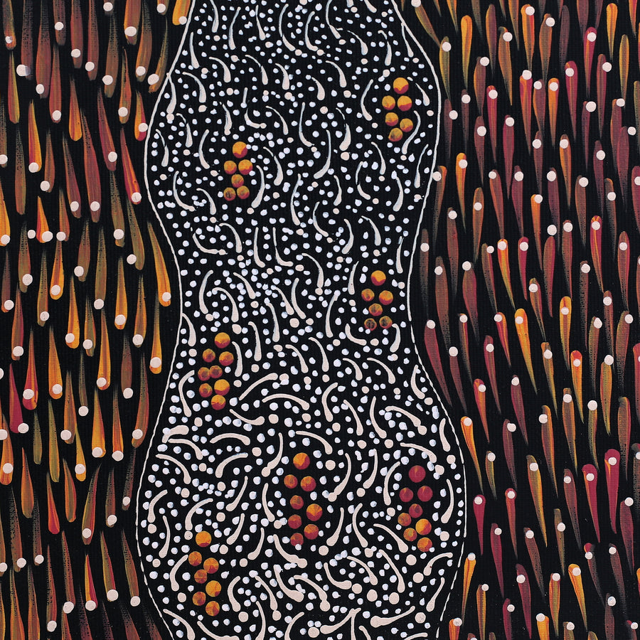 Aboriginal Artwork by Grace Napangardi Butcher, Pikilyi Jukurrpa (Vaughan Springs Dreaming), 30x30cm