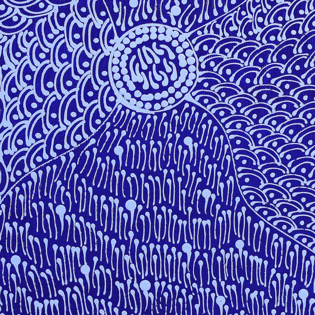 Aboriginal Artwork by Grace Napangardi Butcher, Pikilyi Jukurrpa (Vaughan Springs Dreaming), 30x30cm