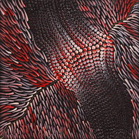 Aboriginal Artwork by Grace Napangardi Butcher, Pikilyi Jukurrpa (Vaughan Springs Dreaming), 40x40cm