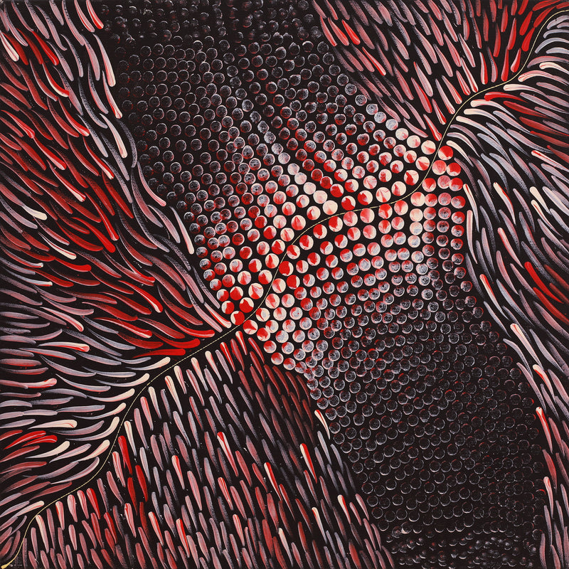 Aboriginal Artwork by Grace Napangardi Butcher, Pikilyi Jukurrpa (Vaughan Springs Dreaming), 40x40cm