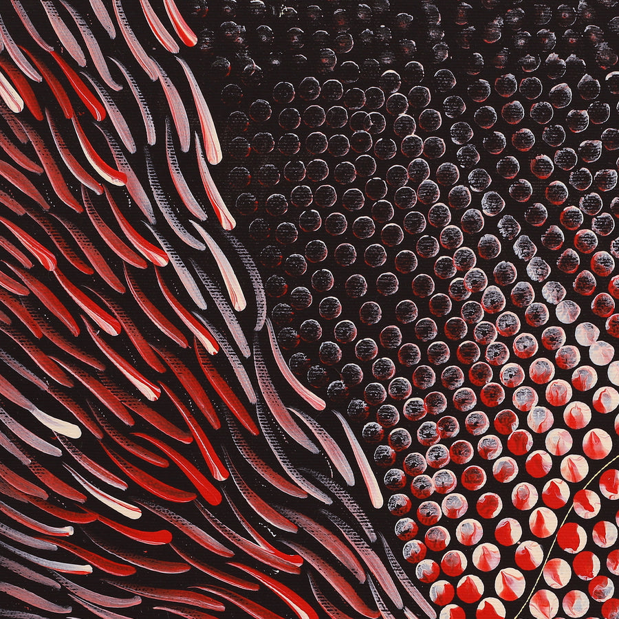 Aboriginal Artwork by Grace Napangardi Butcher, Pikilyi Jukurrpa (Vaughan Springs Dreaming), 40x40cm