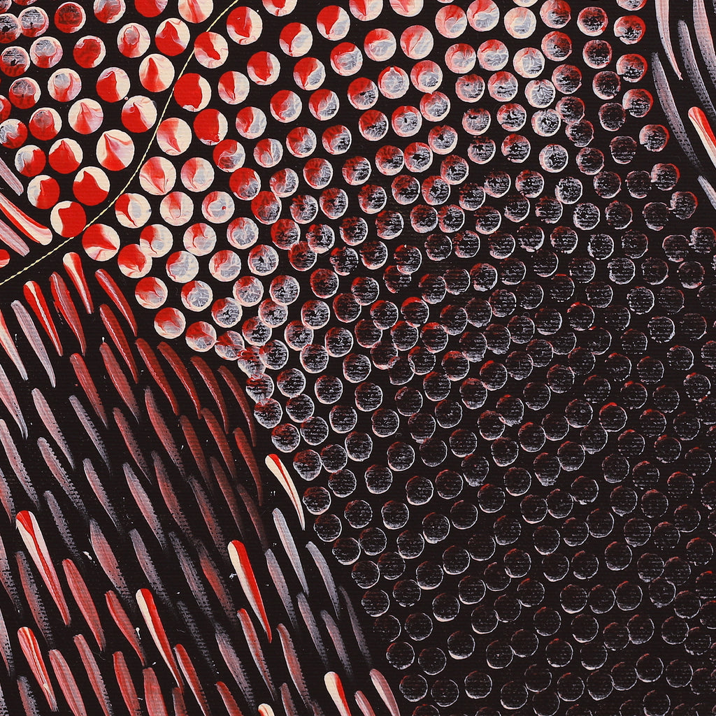 Aboriginal Artwork by Grace Napangardi Butcher, Pikilyi Jukurrpa (Vaughan Springs Dreaming), 40x40cm