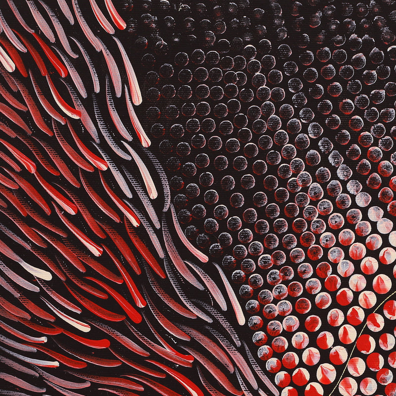 Aboriginal Artwork by Grace Napangardi Butcher, Pikilyi Jukurrpa (Vaughan Springs Dreaming), 40x40cm