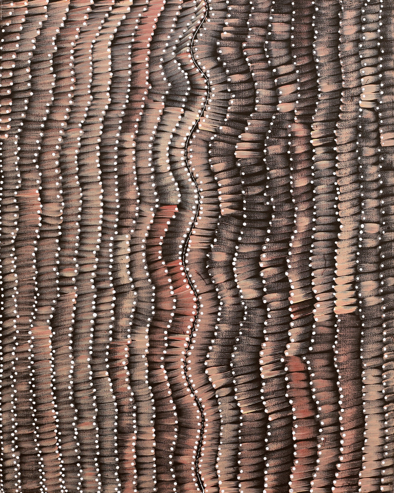 Aboriginal Artwork by Grace Napangardi Butcher, Pikilyi Jukurrpa (Vaughan Springs Dreaming), 50x40cm