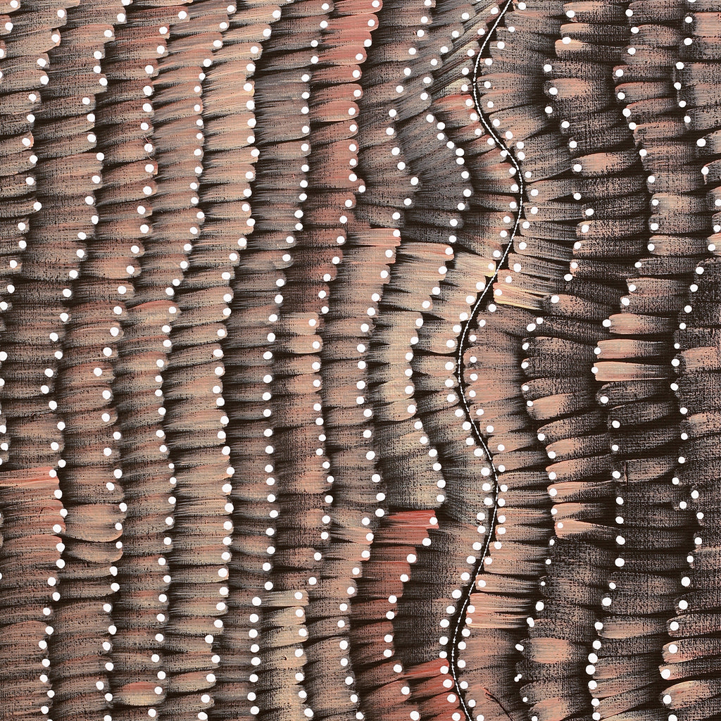 Aboriginal Artwork by Grace Napangardi Butcher, Pikilyi Jukurrpa (Vaughan Springs Dreaming), 50x40cm