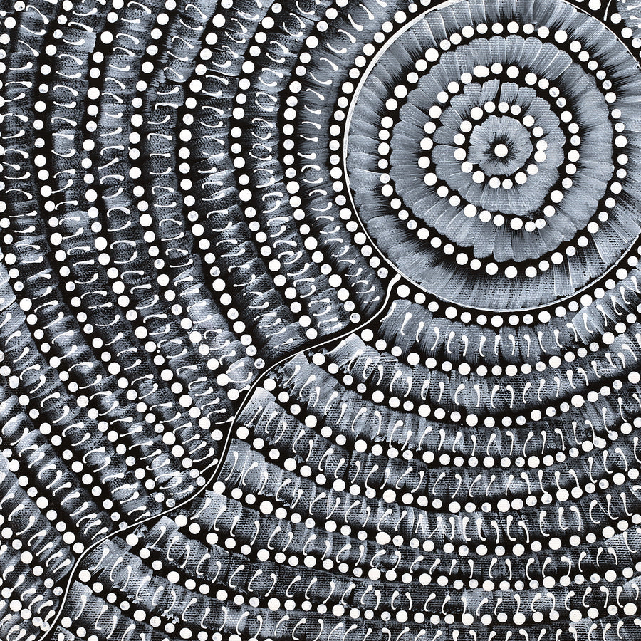 Aboriginal Artwork by Grace Napangardi Butcher, Pikilyi Jukurrpa (Vaughan Springs Dreaming), 40x40cm