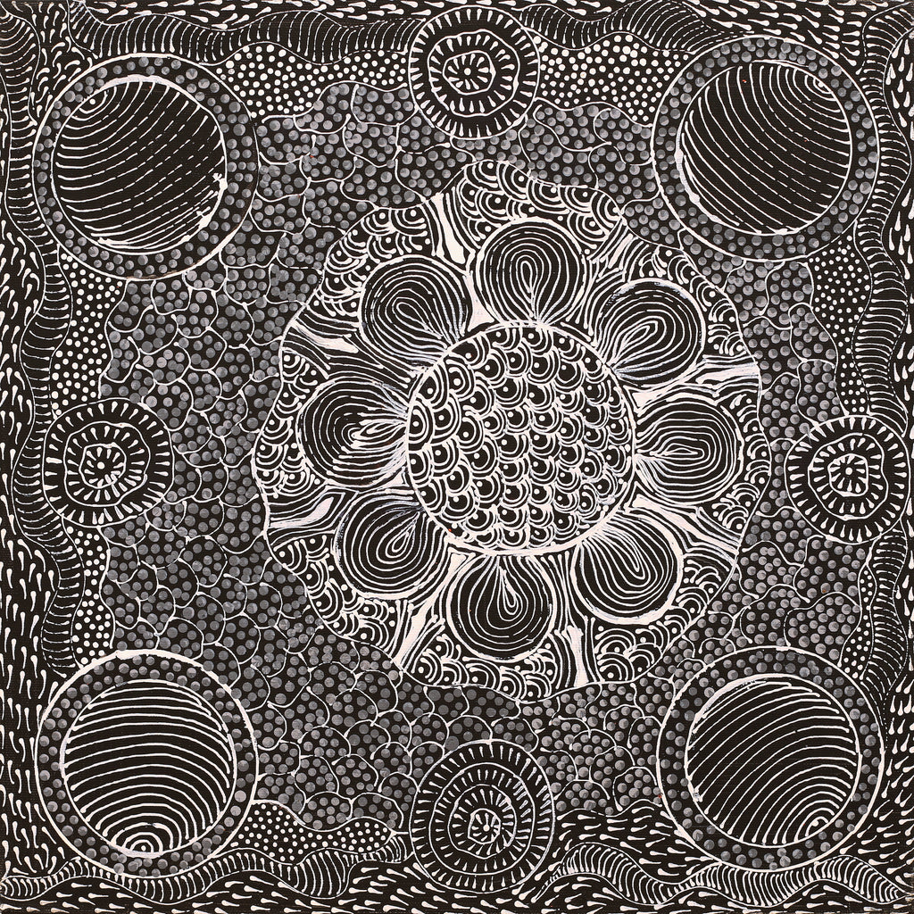 Aboriginal Artwork by Grace Napangardi Butcher, Pikilyi Jukurrpa (Vaughan Springs Dreaming), 40x40cm - ART ARK®