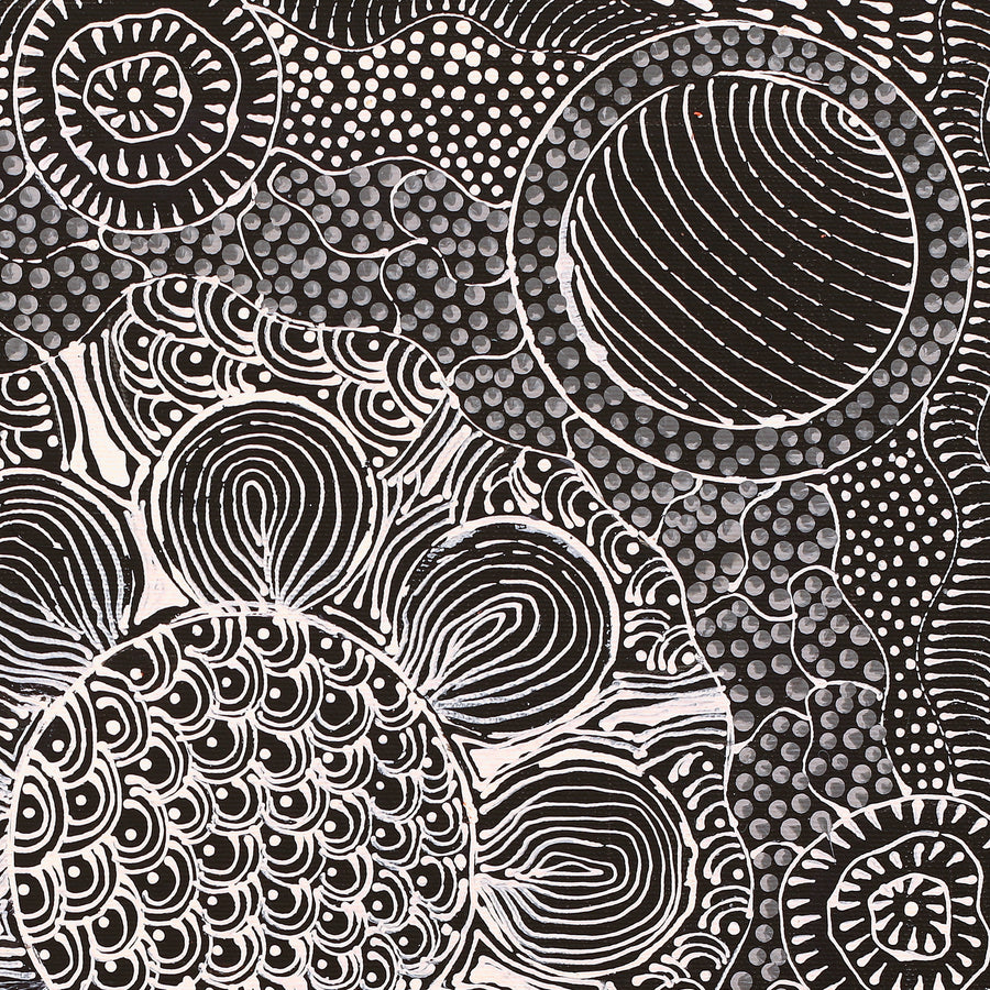 Aboriginal Artwork by Grace Napangardi Butcher, Pikilyi Jukurrpa (Vaughan Springs Dreaming), 40x40cm