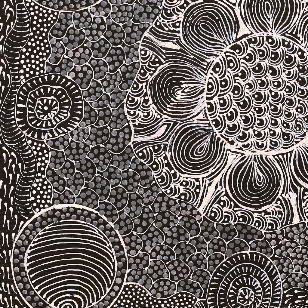 Aboriginal Artwork by Grace Napangardi Butcher, Pikilyi Jukurrpa (Vaughan Springs Dreaming), 40x40cm - ART ARK®