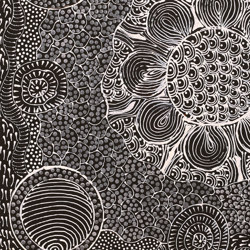 Aboriginal Artwork by Grace Napangardi Butcher, Pikilyi Jukurrpa (Vaughan Springs Dreaming), 40x40cm