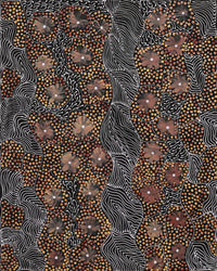 Aboriginal Artwork by Grace Napangardi Butcher, Pikilyi Jukurrpa (Vaughan Springs Dreaming), 50x40cm