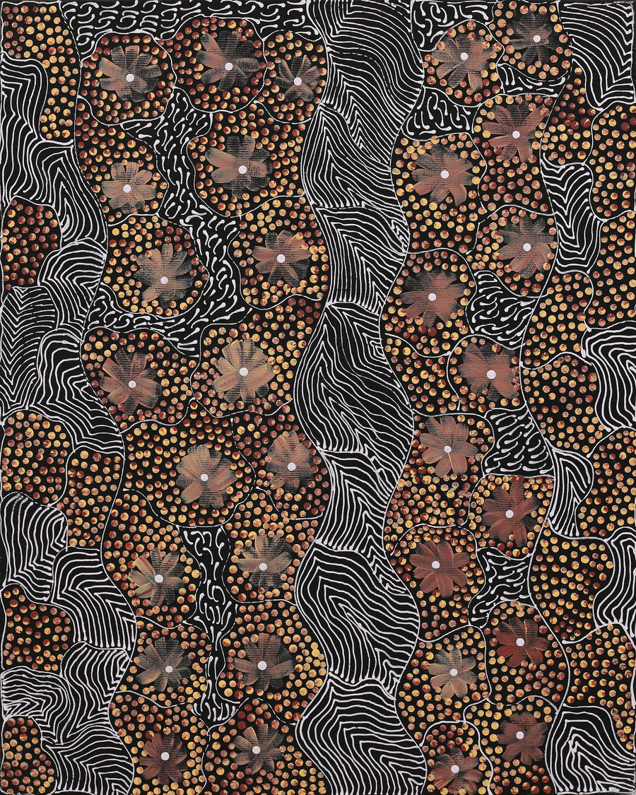 Aboriginal Artwork by Grace Napangardi Butcher, Pikilyi Jukurrpa (Vaughan Springs Dreaming), 50x40cm